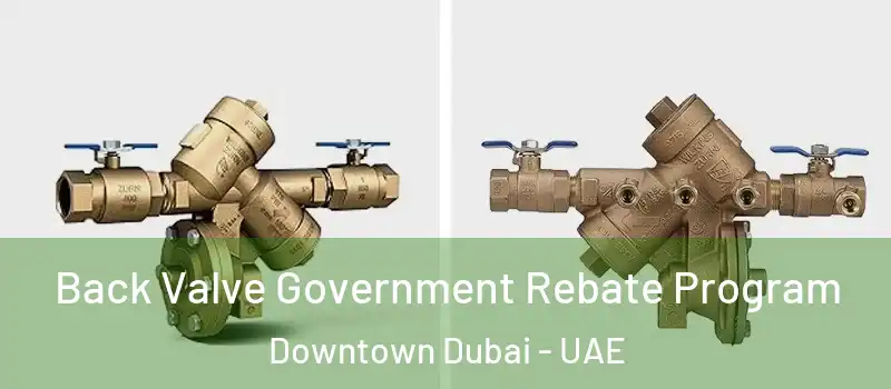  Back Valve Government Rebate Program Downtown Dubai - UAE