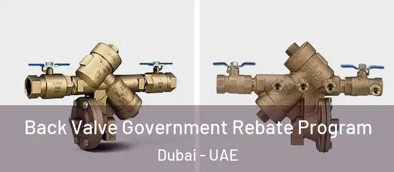  Back Valve Government Rebate Program Dubai - UAE
