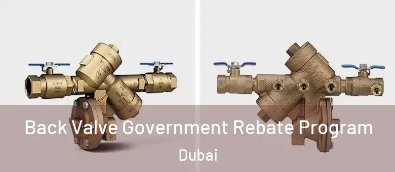 Back Valve Government Rebate Program Dubai