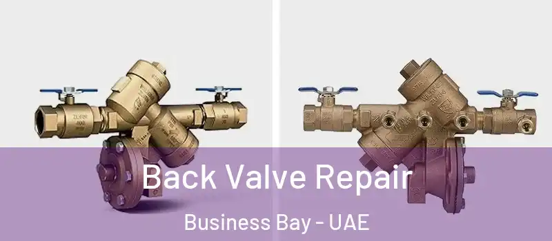  Back Valve Repair Business Bay - UAE