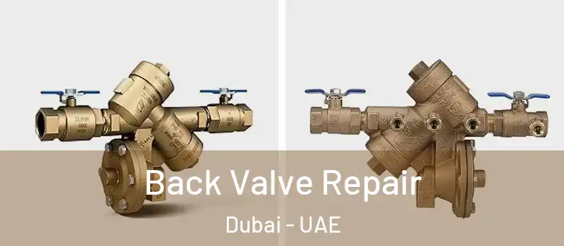  Back Valve Repair Dubai - UAE