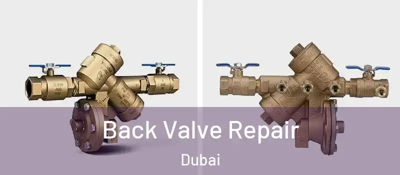 Back Valve Repair Dubai