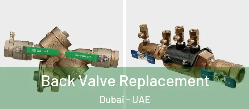  Back Valve Replacement Dubai - UAE