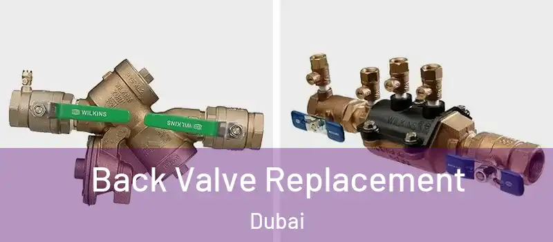 Back Valve Replacement Dubai