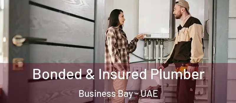  Bonded & Insured Plumber Business Bay - UAE