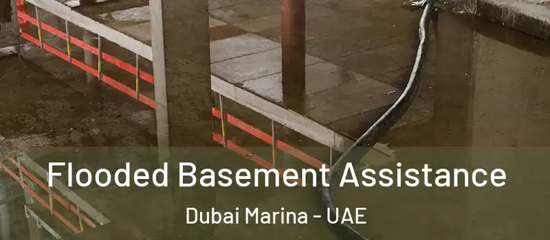  Flooded Basement Assistance Dubai Marina - UAE