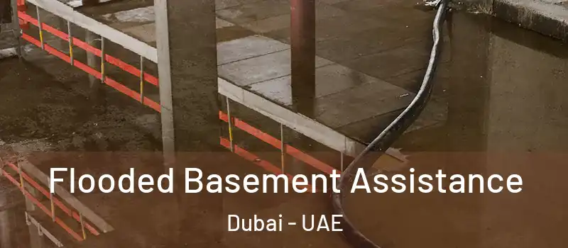  Flooded Basement Assistance Dubai - UAE