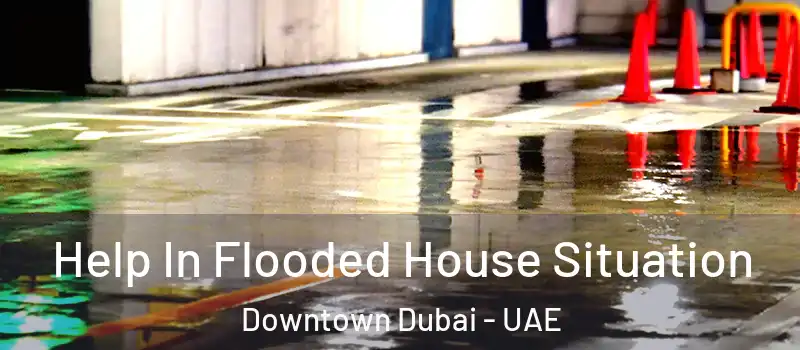  Help In Flooded House Situation Downtown Dubai - UAE