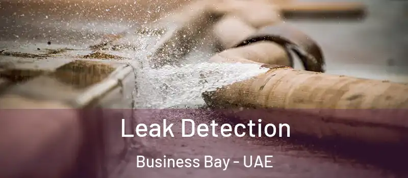  Leak Detection Business Bay - UAE