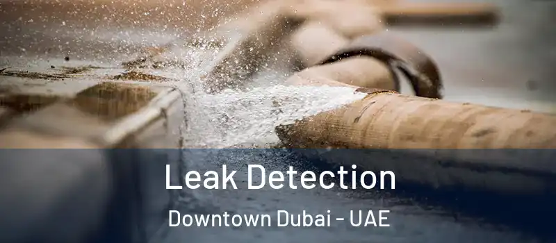  Leak Detection Downtown Dubai - UAE