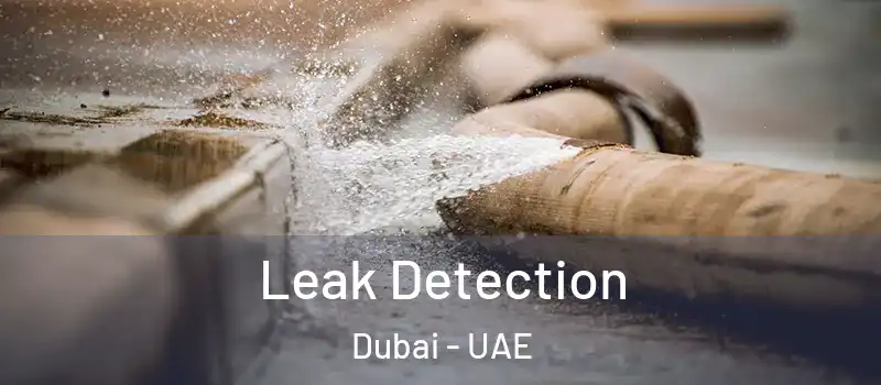  Leak Detection Dubai - UAE