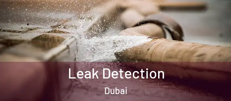 Leak Detection Dubai