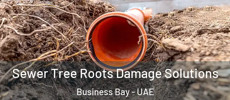  Sewer Tree Roots Damage Solutions Business Bay - UAE