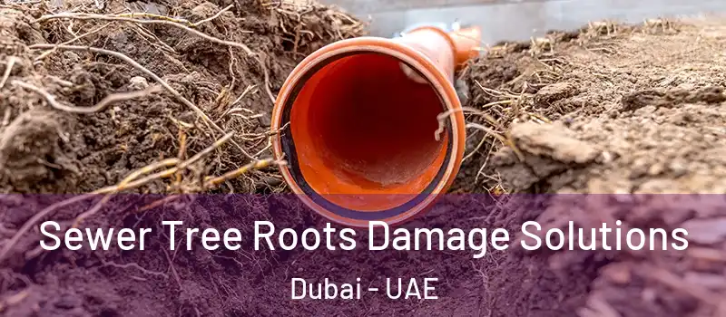  Sewer Tree Roots Damage Solutions Dubai - UAE