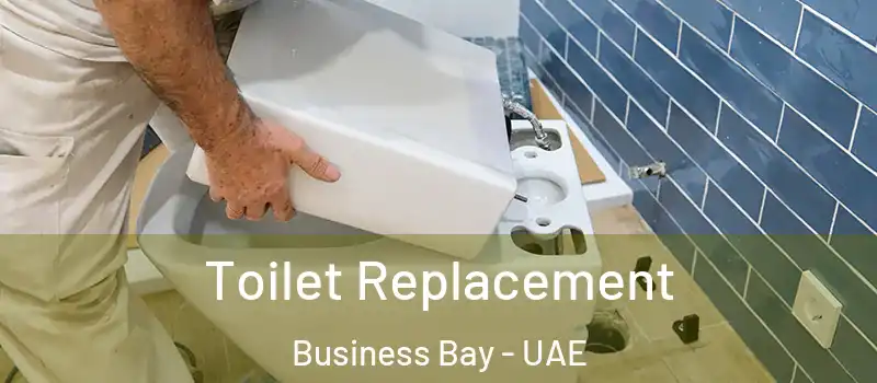  Toilet Replacement Business Bay - UAE