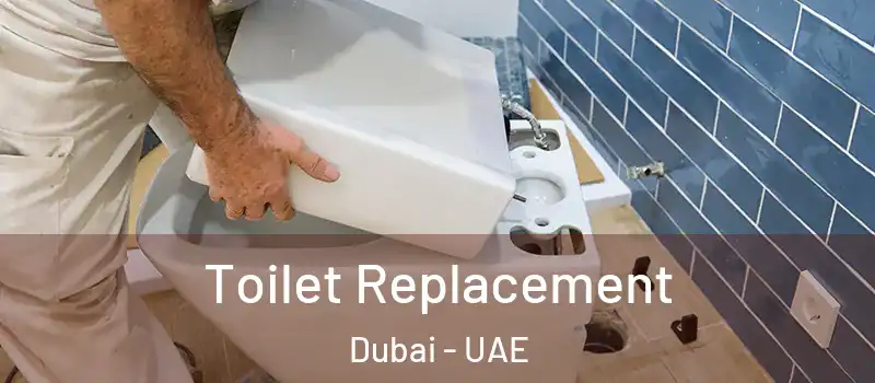  Toilet Replacement Dubai - UAE