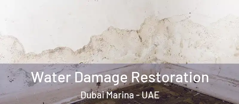 Water Damage Restoration Dubai Marina - UAE