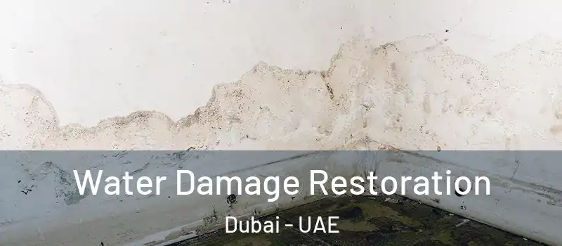 Water Damage Restoration Dubai - UAE