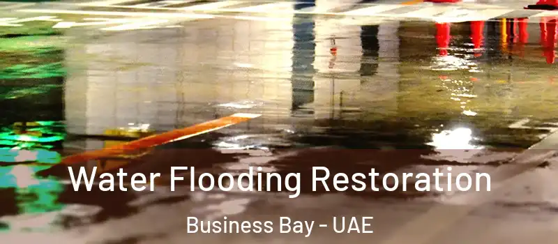  Water Flooding Restoration Business Bay - UAE
