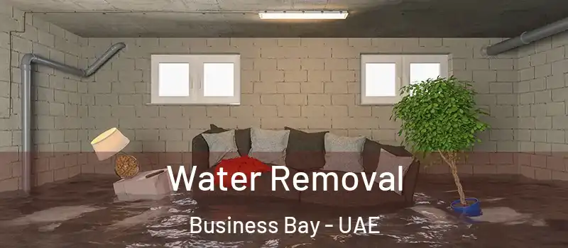  Water Removal Business Bay - UAE