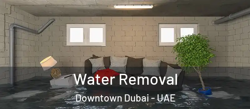  Water Removal Downtown Dubai - UAE