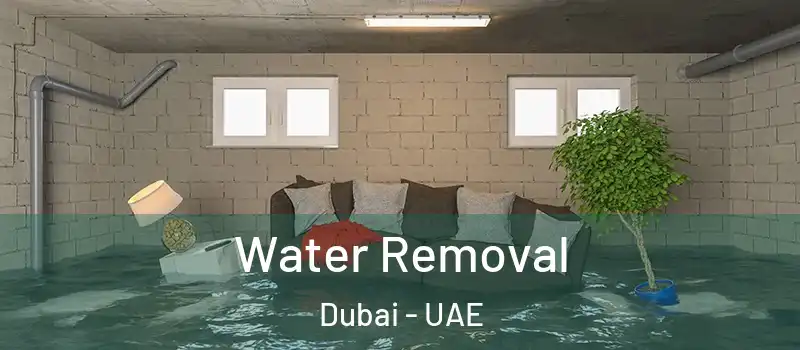  Water Removal Dubai - UAE