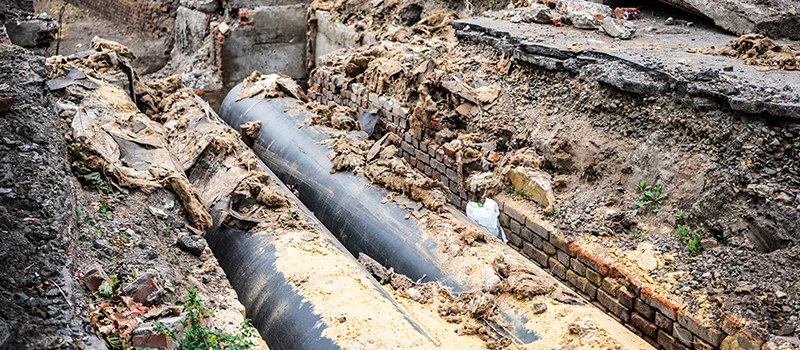 Commercial Sewer Tree Roots Damage Solutions in Dubai Marina
