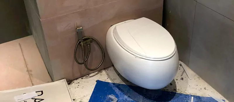 Smart Toilet Installation