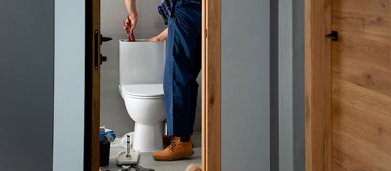 Toilet Repair